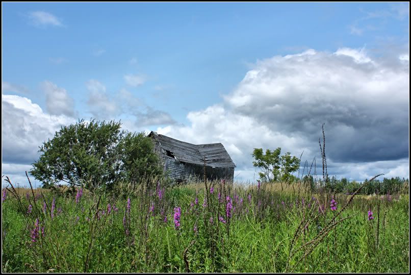 IMAGE: http://i14.photobucket.com/albums/a323/rathgarb/Pix/IMG_0631HDRIwww.jpg