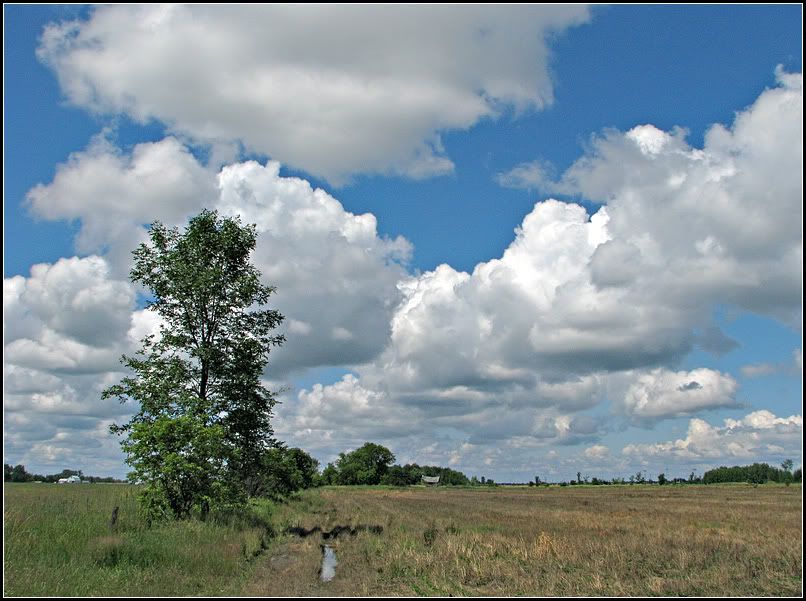 IMAGE: http://i14.photobucket.com/albums/a323/rathgarb/Pix/IMG_1052PPwww.jpg