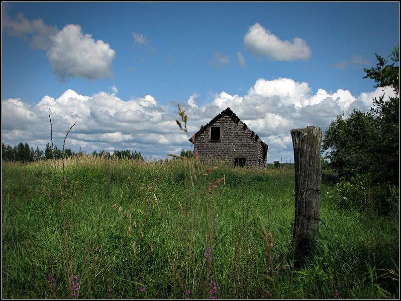 IMAGE: http://i14.photobucket.com/albums/a323/rathgarb/Pix/IMG_1074PPwww.jpg