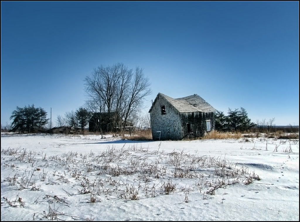 IMAGE: http://i14.photobucket.com/albums/a323/rathgarb/Pix/IMG_1173PPWWW.jpg