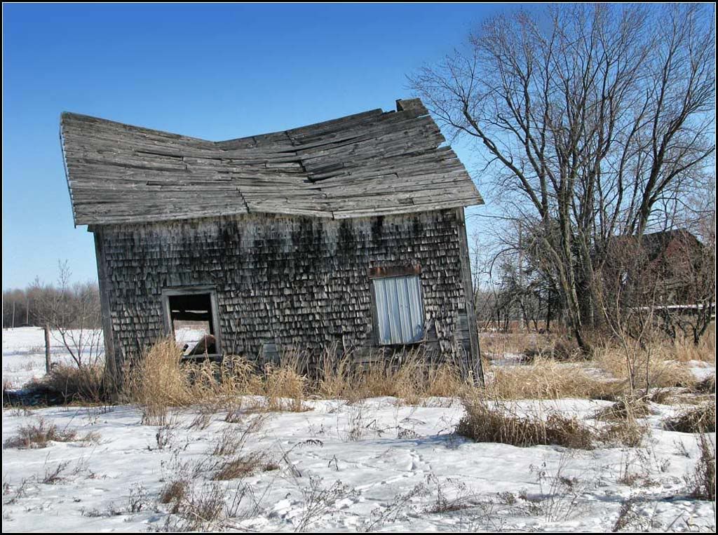 IMAGE: http://i14.photobucket.com/albums/a323/rathgarb/Pix/IMG_1179PPWWW.jpg