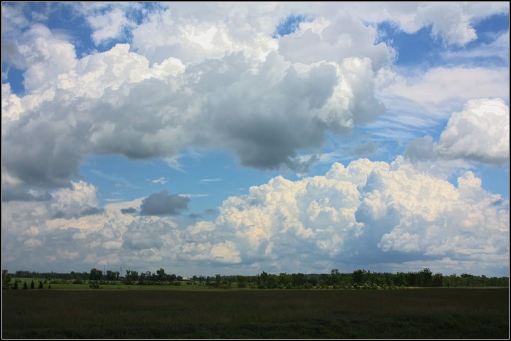 IMAGE: http://i14.photobucket.com/albums/a323/rathgarb/Pix/IMG_1343MCRAWPPWWW.jpg