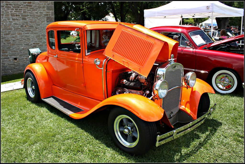 IMAGE: http://i14.photobucket.com/albums/a323/rathgarb/Pix/IMG_1507PPWWW.jpg