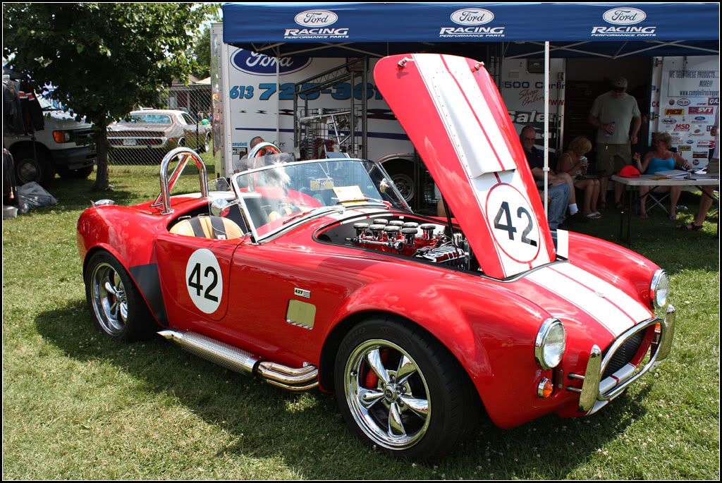 IMAGE: http://i14.photobucket.com/albums/a323/rathgarb/Pix/IMG_1546PPWWW.jpg