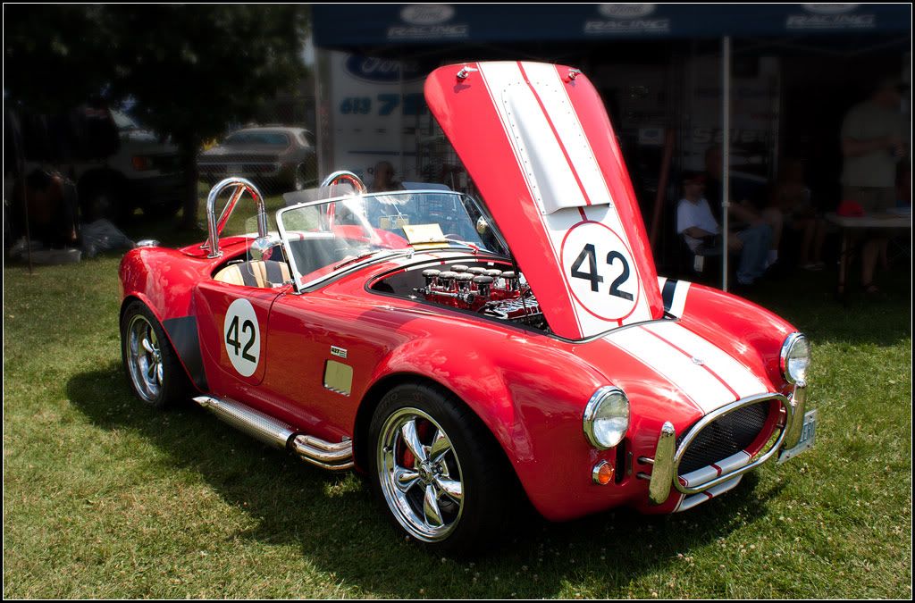 IMAGE: http://i14.photobucket.com/albums/a323/rathgarb/Pix/IMG_1547PPWWW.jpg