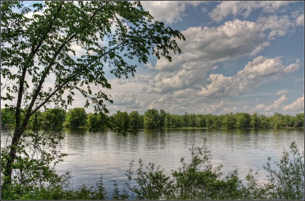 IMAGE: http://i14.photobucket.com/albums/a323/rathgarb/Pix/IMG_2295_6_7_tonemappedPPWWW.jpg