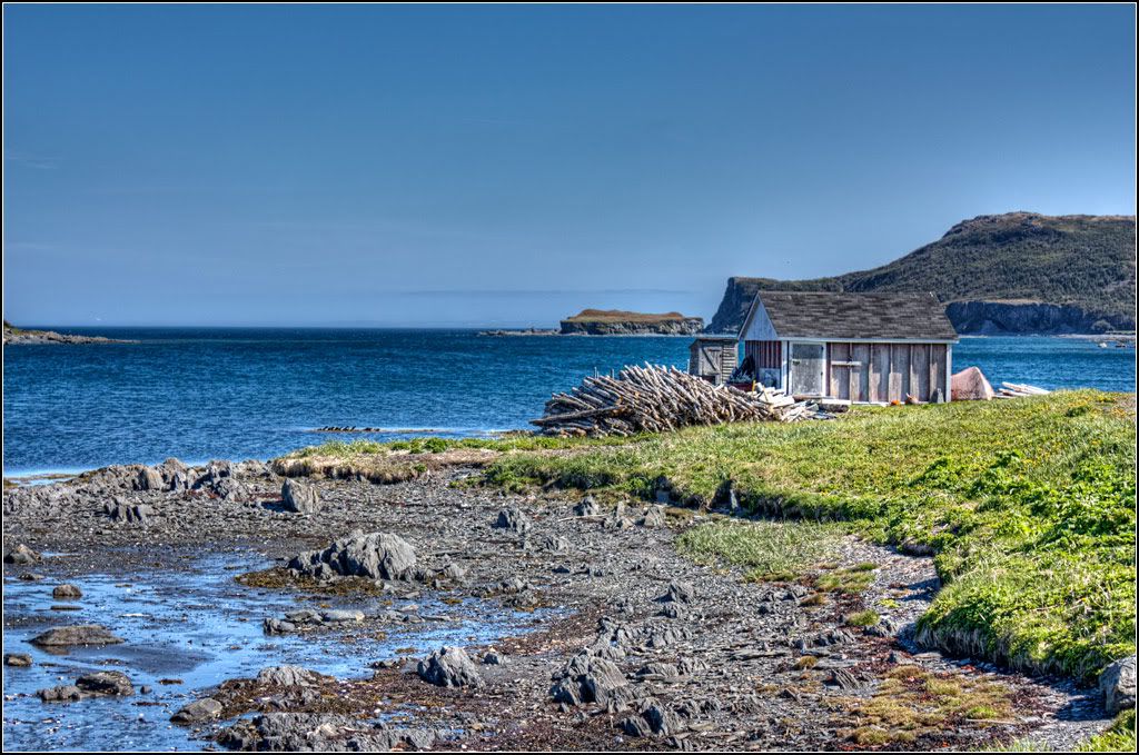 IMAGE: http://i14.photobucket.com/albums/a323/rathgarb/Pix/IMG_2883_4_5_PPwww.jpg