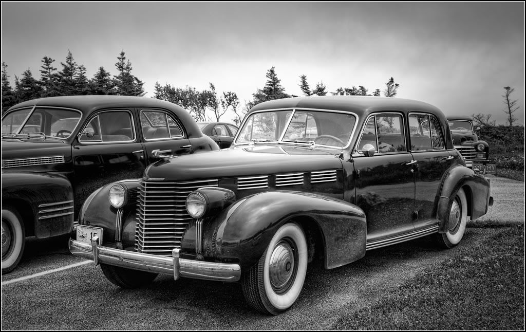 IMAGE: http://i14.photobucket.com/albums/a323/rathgarb/Pix/IMG_3197_8_9_ppwww.jpg