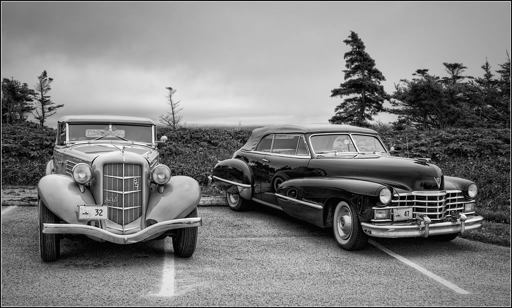 IMAGE: http://i14.photobucket.com/albums/a323/rathgarb/Pix/IMG_3200_1_2_ppwww.jpg