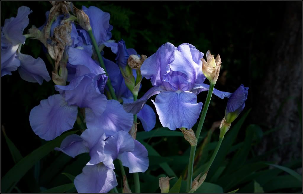 IMAGE: http://i14.photobucket.com/albums/a323/rathgarb/Pix/Untitled_HDR3PPlargeWWW.jpg