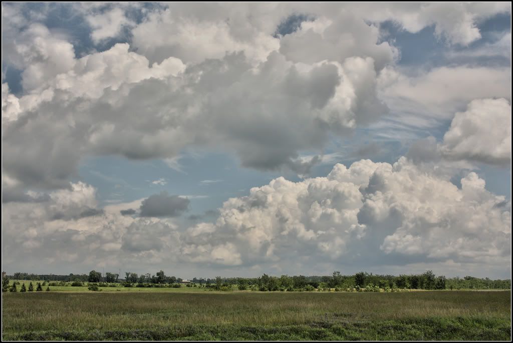 IMAGE: http://i14.photobucket.com/albums/a323/rathgarb/Pix/artizenrawhdrPPWWW.jpg