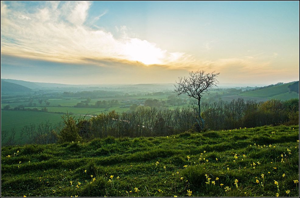 IMAGE: http://i14.photobucket.com/albums/a323/rathgarb/_MG_2351net_zps2680582dppwww_zpseb8f6855.jpg