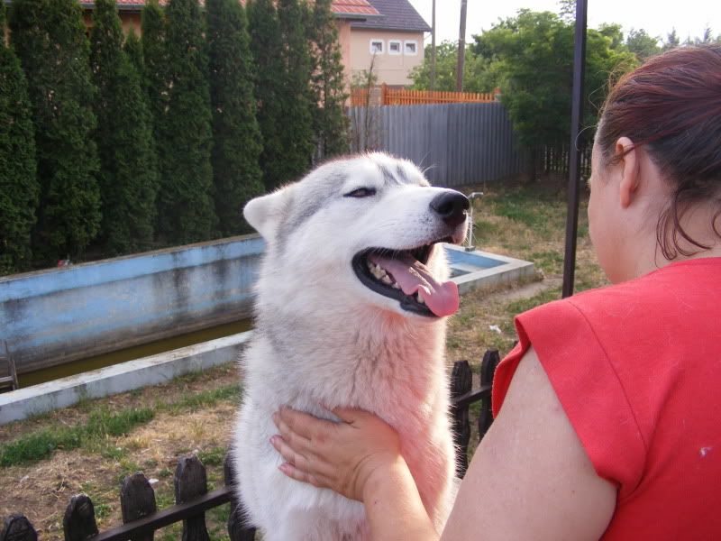 20090610022.jpg