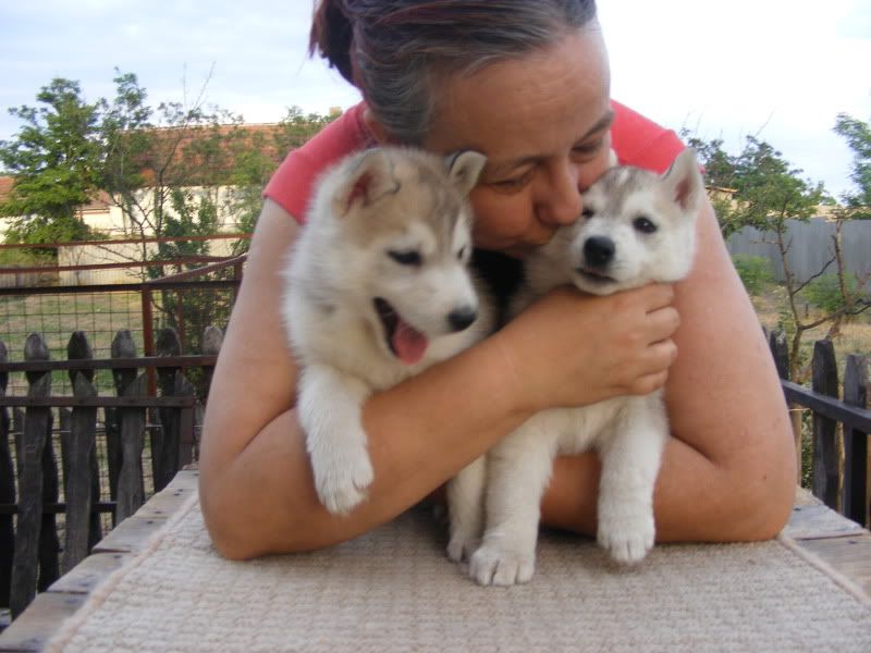 20090610098.jpg