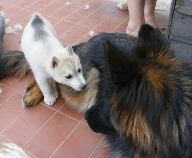 20090610151.jpg