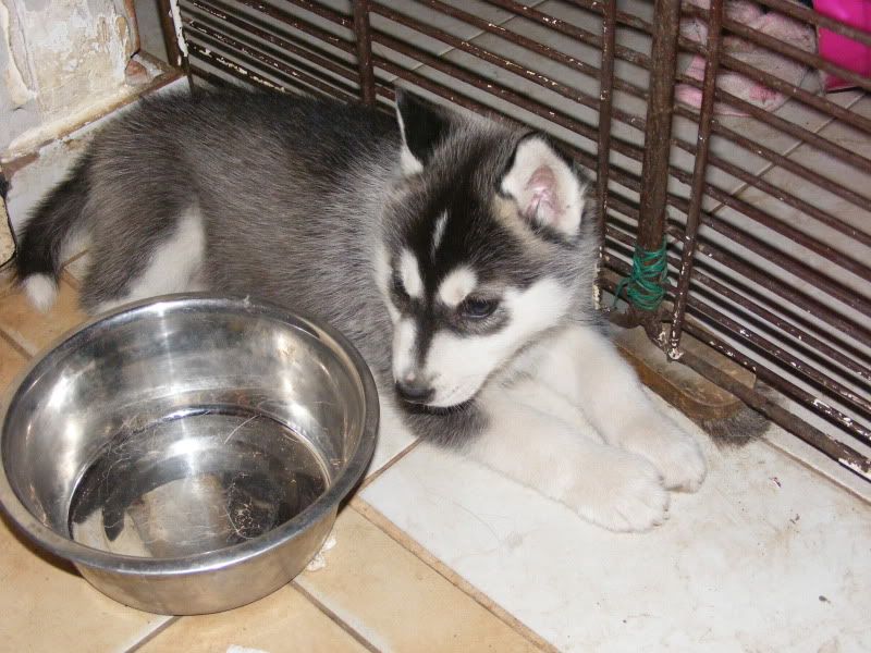 20090610175.jpg