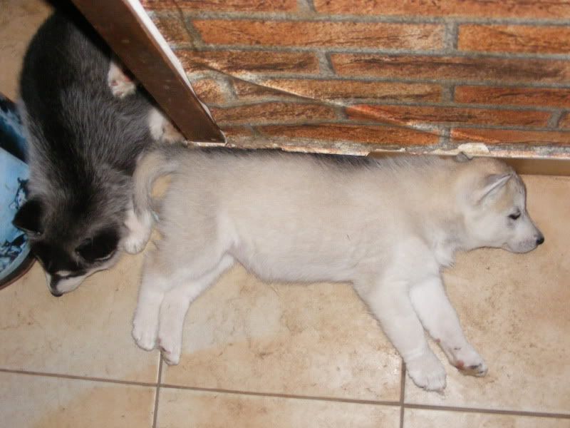 20090610179.jpg