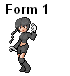 form1.png