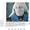 luci1.gif