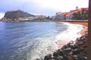 300px-Aguilasmurcia.jpg