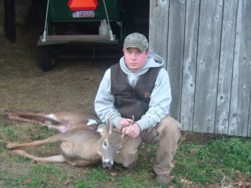 2007deer002.jpg