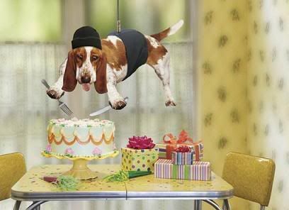 dog birthday image