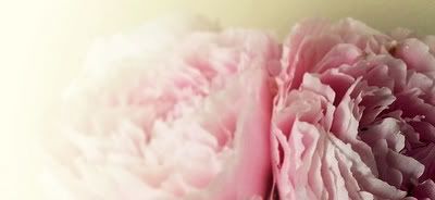 [photo by ghettojack]