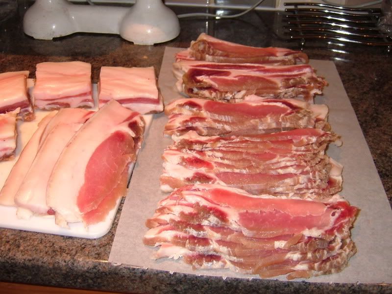 2005_1118Bacon0002.jpg