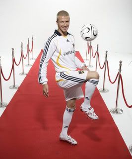 becks.jpg