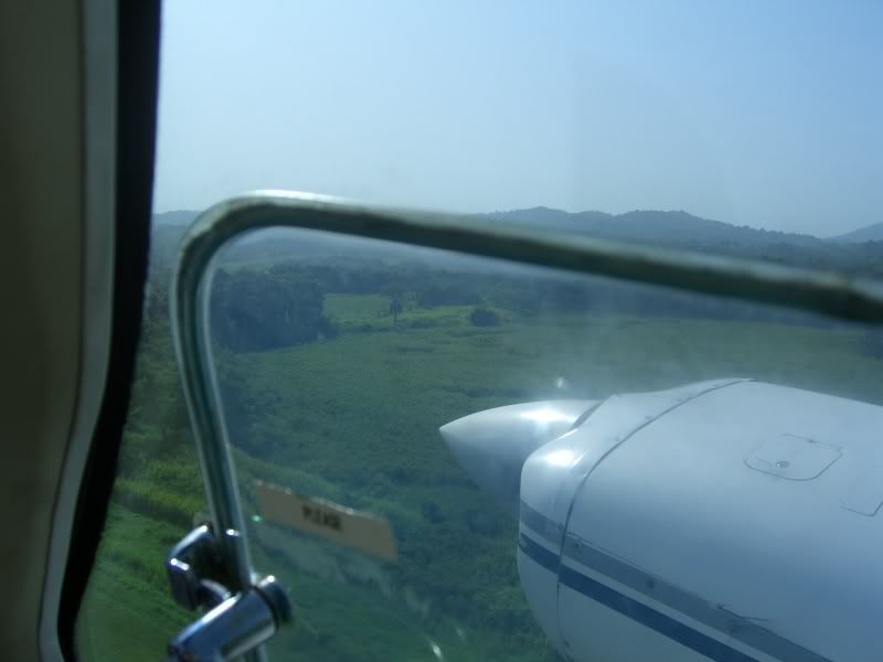 ariel view