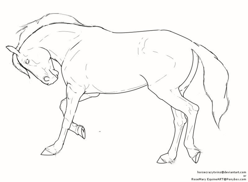 shetland pony coloring pages - photo #28