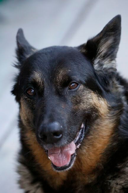 IMAGE: http://i14.photobucket.com/albums/a330/303gli/_X6J0041.jpg