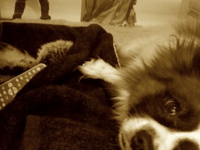 Photo178.jpg