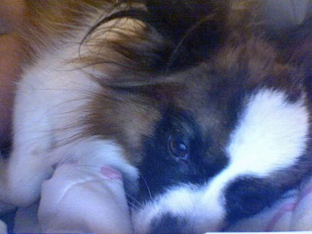 Photo40.jpg