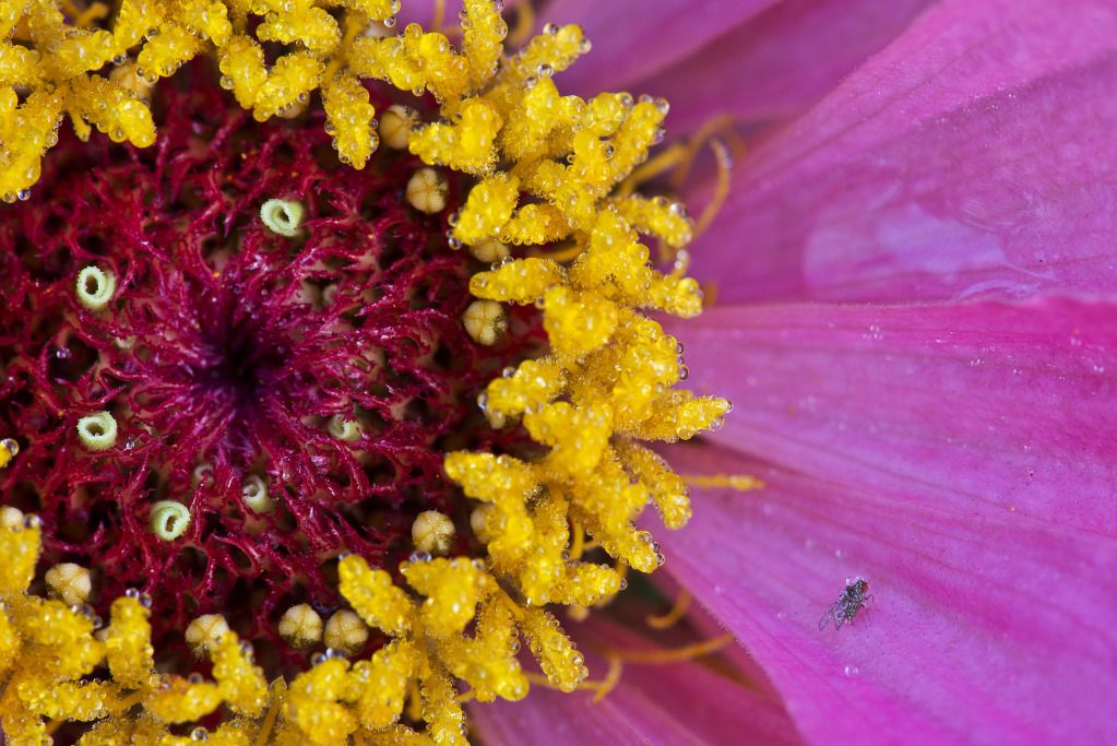 IMAGE: http://i14.photobucket.com/albums/a332/StarW77/DSC_0159.jpg