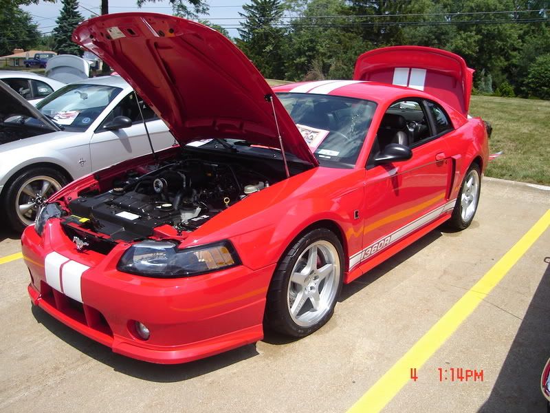 http://i14.photobucket.com/albums/a332/shhiknow/summit%20car%20show/DSC00887.jpg