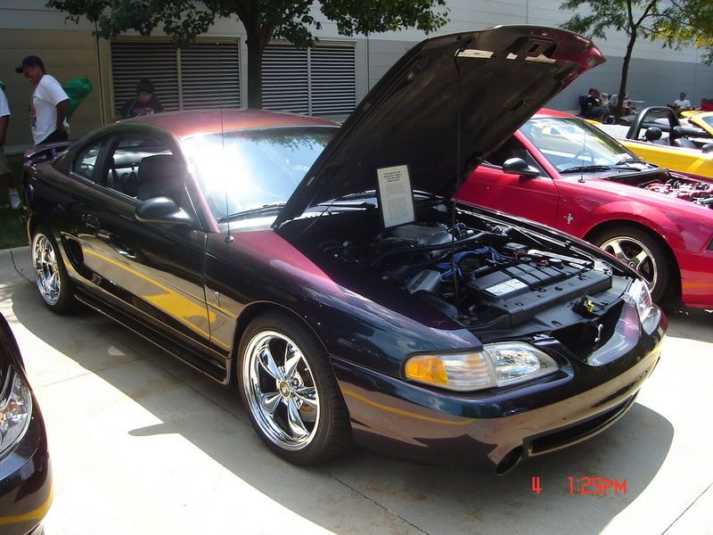 http://i14.photobucket.com/albums/a332/shhiknow/summit%20car%20show/DSC00922.jpg