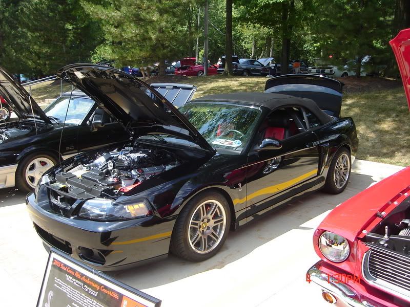 http://i14.photobucket.com/albums/a332/shhiknow/summit%20car%20show/DSC00925.jpg