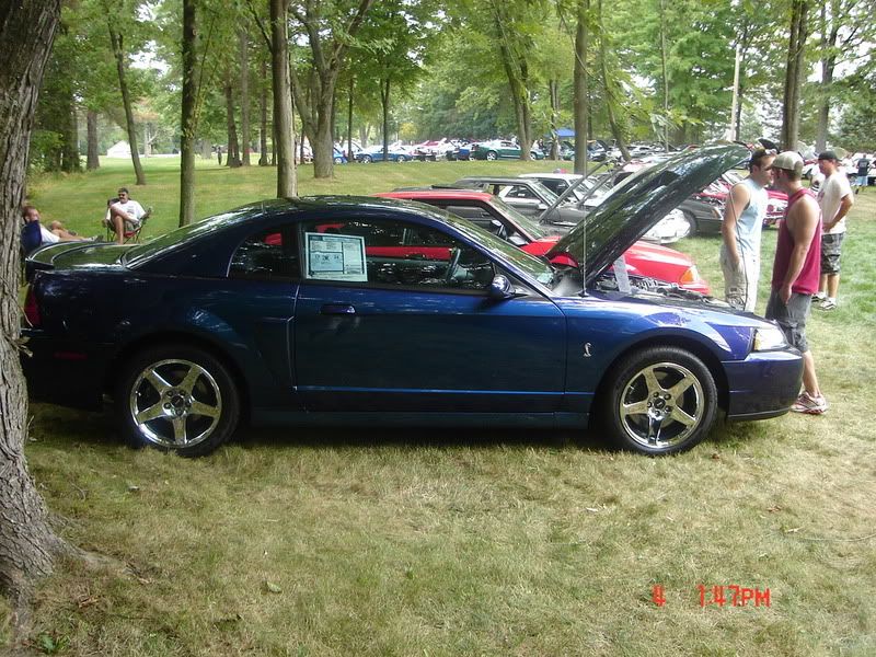 http://i14.photobucket.com/albums/a332/shhiknow/summit%20car%20show/DSC00947.jpg