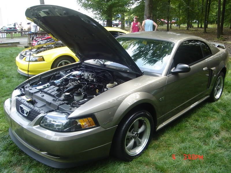 http://i14.photobucket.com/albums/a332/shhiknow/summit%20car%20show/DSC00968.jpg