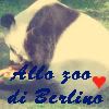 zoo
