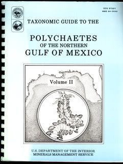 Image for Taxonomic Guide to the Polychaetes of the Northern Gulf of Mexico Volume II