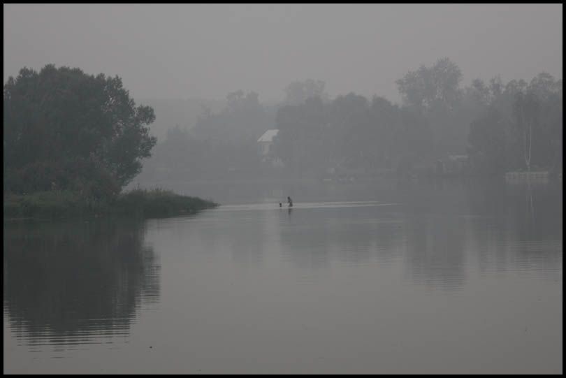 Салтыковка 2010. Серое 