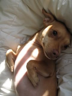 re: The Sublimely Cute!!!