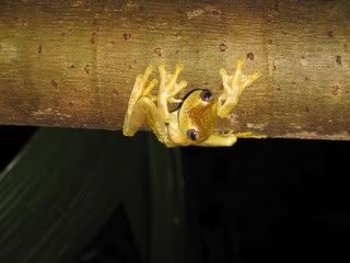 re: The Sublimely Cute!!!