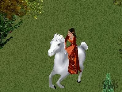 zjgf_4_0000.jpg