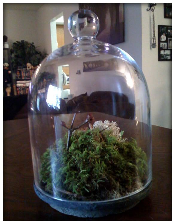 moss garden cloche
