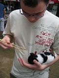 China036.jpg They eat dog in china... image by coderboy