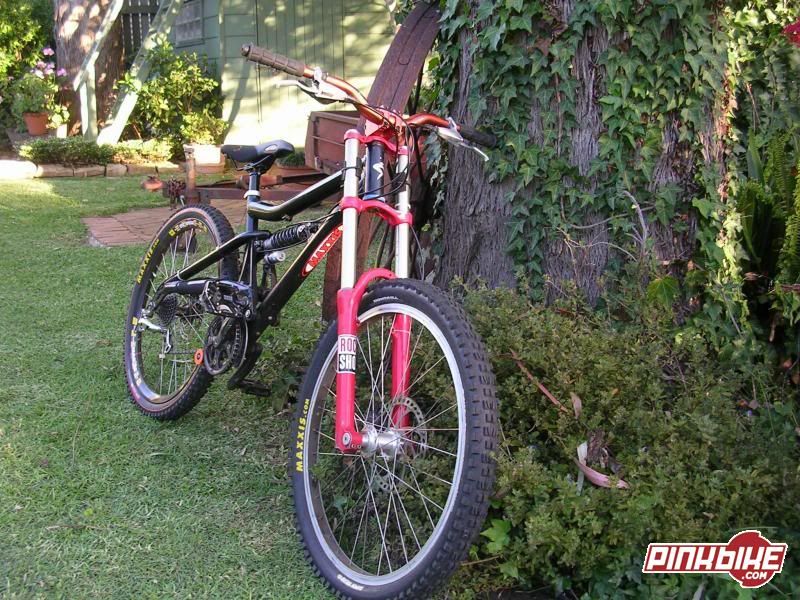 santa cruz bullit 2004