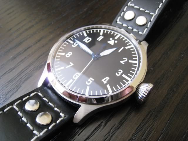 steinhart001.jpg